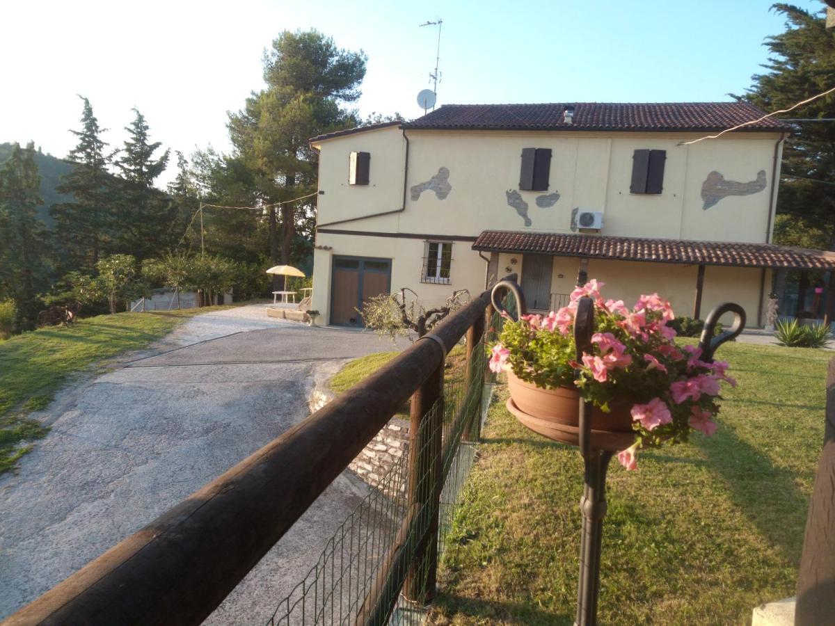 B&B Marcello & Francesca Urbino Exterior photo